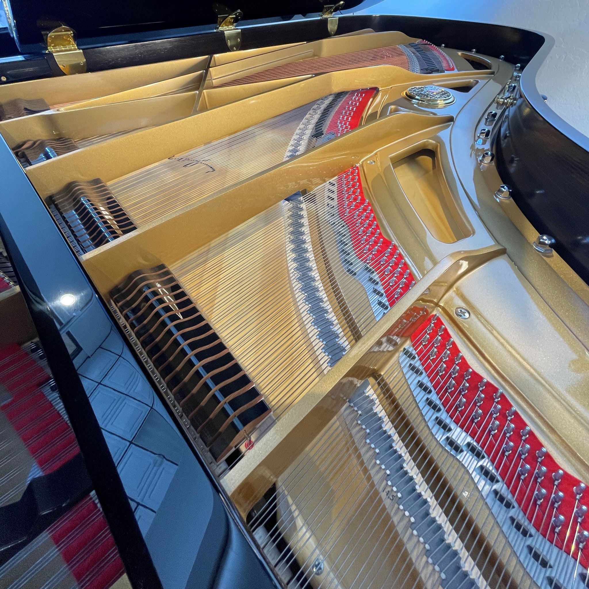 Petrof P237 (7'9")  - ONLINE INVENTORY Call for Availability