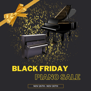Black Friday Sale - Save Up to 66% Off