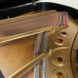 Steinway & Sons Model L (5'10.5")   New Arrival!