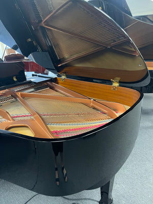 Cristofori  G54 (5'4")  Baby Grand w/ PianoDisc Player System