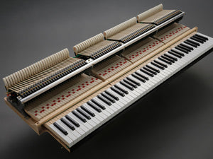 Kawai GL-30 (5'5")