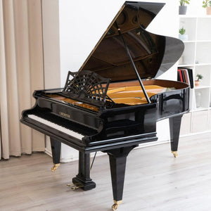 Bechstein B 203 (6'6") - 1908 ONLINE INVENTORY Call for Availability