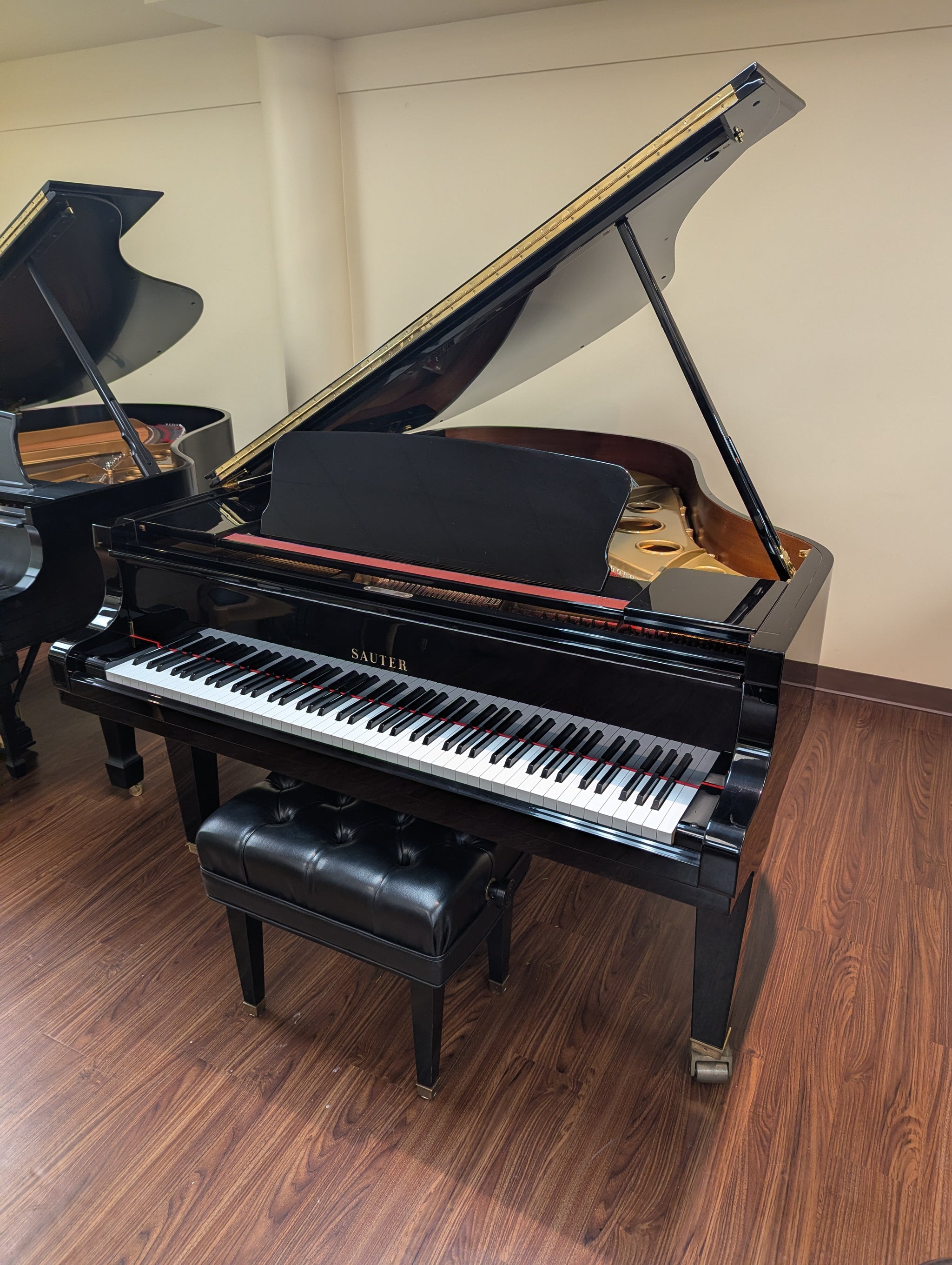 Sauter Delta 1987 (6')