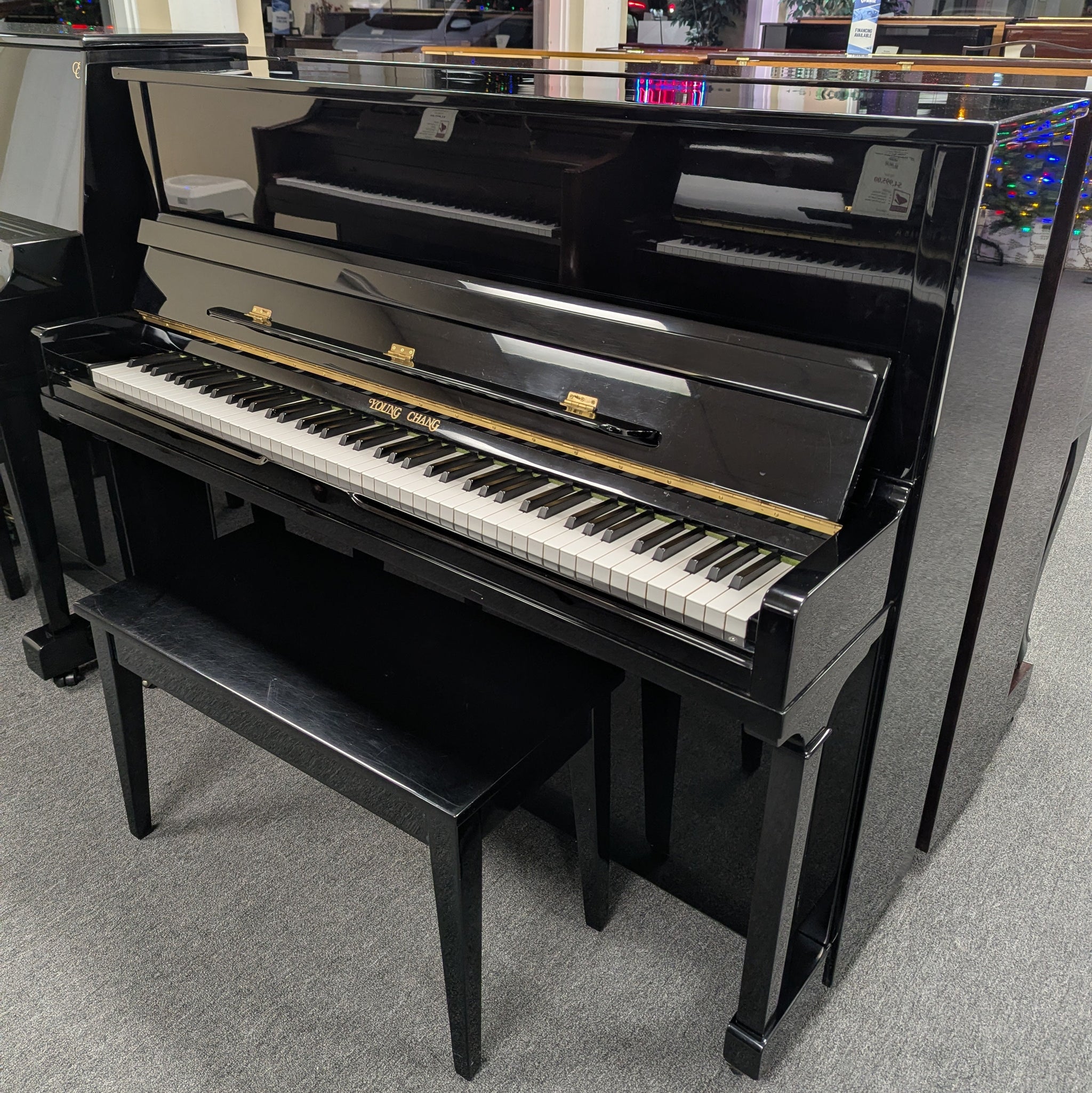 Young Chang E-118 (47'')