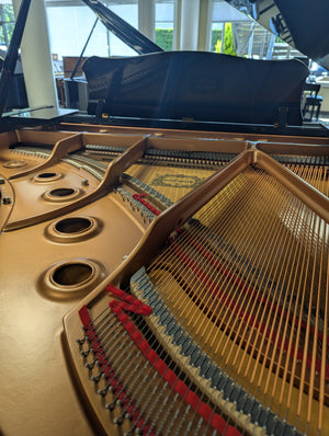 Yamaha GC-1 (5'3")