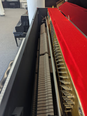 Kawai K-25 (48'')