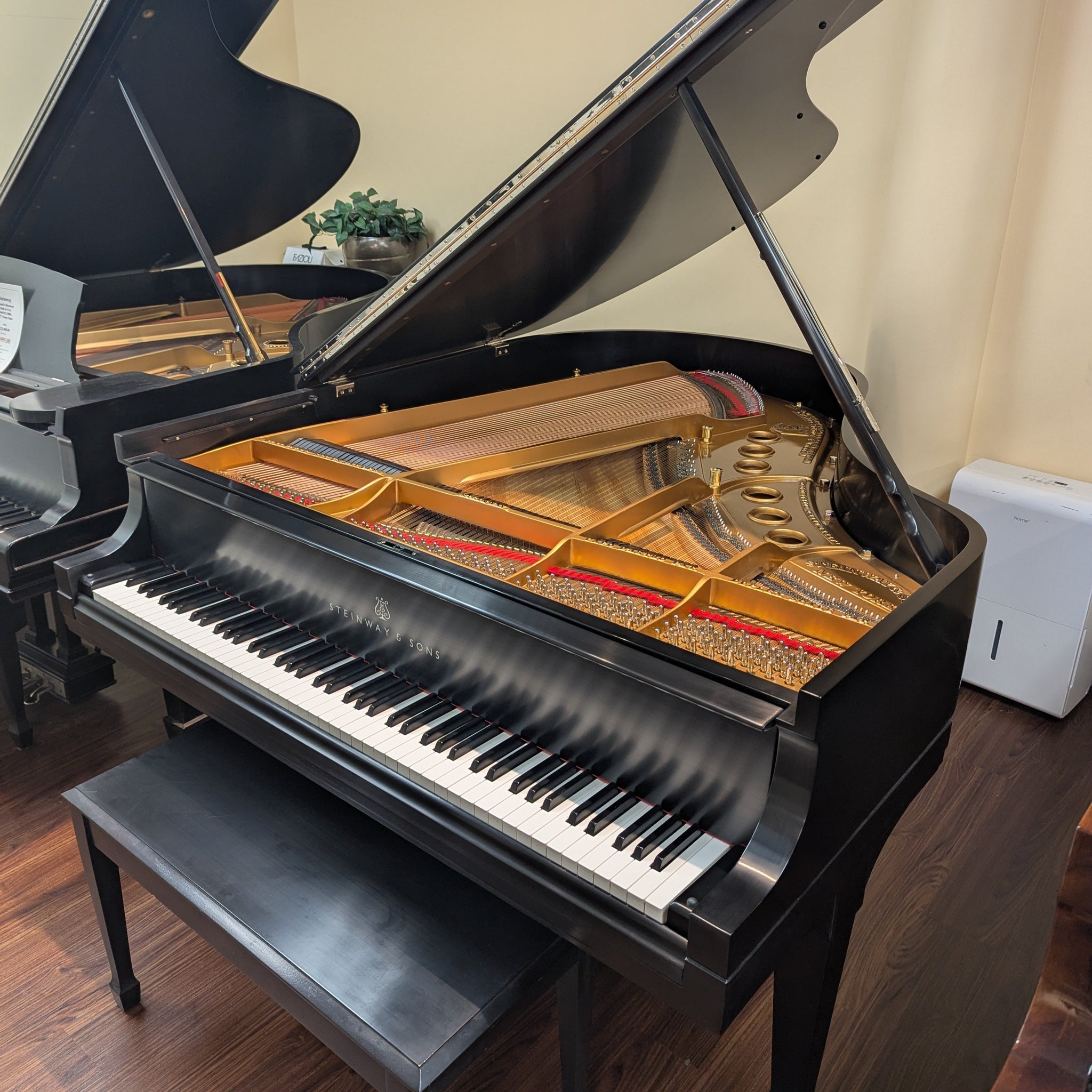 Steinway & Sons Model M (5'7") FULLY RESTORED