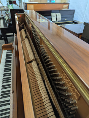 Kawai KL-502 (49'')