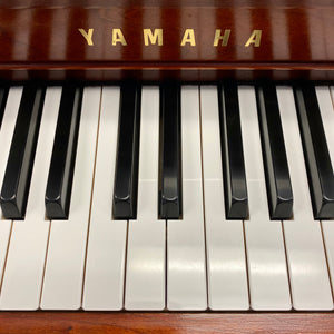 Yamaha M450 (44'')