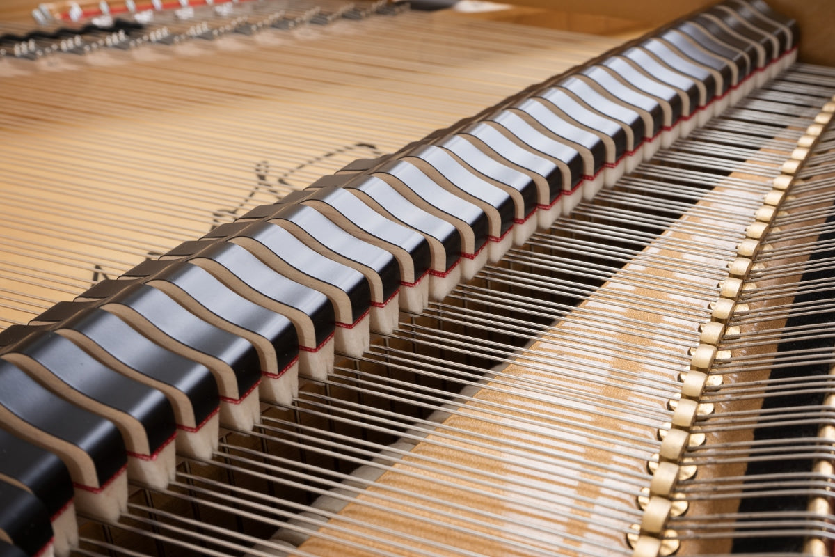 PETROF P173 Breeze Demichippendale (5'8")