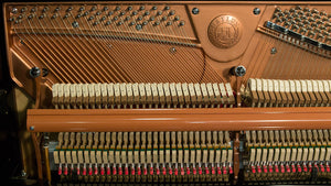 Hailun Upright Piano Northwest Pianos.