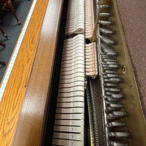 Yamaha P22 (45")