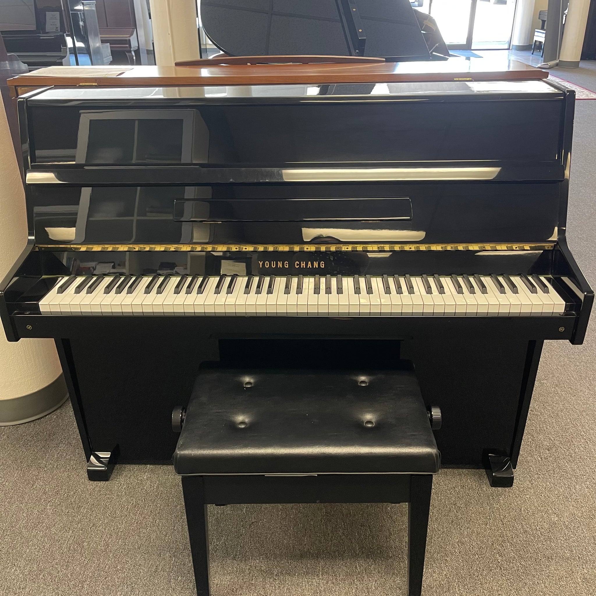 Young Chang E-101 (43'')